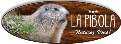 Accommodation Logo